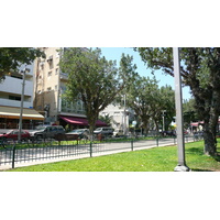 照片 以色列(Israel) 特拉维夫(Tel Aviv) 罗斯柴尔德大道(Rothschild Street) 2007-06 15