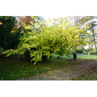 照片 法国(France) 巴黎(Paris) 巴加泰勒公园(Bagatelles) 2016-10 39