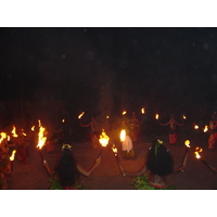 照片 波利尼西亚(Polynesia) 莫雷阿岛(Moorea) 2006-04 114