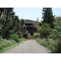 照片 泰国(Thailand) 清迈(Chiang Mai) 护城河内(Inside Canal) 拉查丹嫩路（步行街）(Rad Cha Dom Nurn (Walking Street)) 2006-04 27
