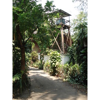 照片 泰国(Thailand) 清迈(Chiang Mai) 护城河内(Inside Canal) 拉查丹嫩路（步行街）(Rad Cha Dom Nurn (Walking Street)) 2006-04 21