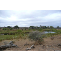 照片 南非(South Africa) 克鲁格国家公园(Kruger National Park) 萨布尔河(Sable River) 2008-09 23