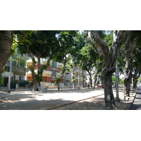 照片 以色列(Israel) 特拉维夫(Tel Aviv) 罗斯柴尔德大道(Rothschild Street) 2007-06 13