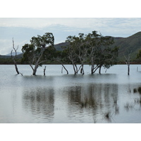 照片 新喀里多尼亚(New Caledonia) 蓝河公园(Parc de la Riviere Bleue) 2010-05 45