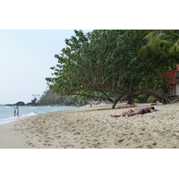 照片 泰国(Thailand) 象岛(Ko Chang) 白沙滩(White sand beach) 2011-02 60