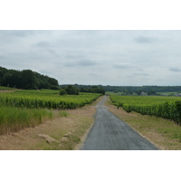 照片 法国(France) 索米尔(Saumur) 2011-05 26