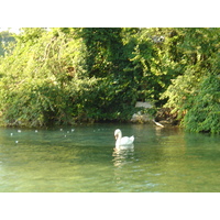照片 法国(France) 安纳西(Annecy) 2004-08 71