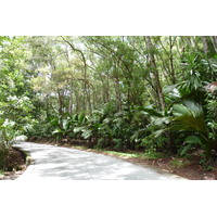 照片 塞舌尔(Seychelles) 五月谷(Vallee de Mai) 2011-10 57