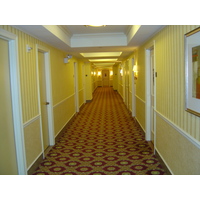 照片 美国(United States) 纽约(New York) 巴克莱洲际酒店(Intercontinental the Barclay Hotel) 2006-03 32