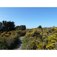 照片 泽西岛(Jersey) 2010-04 2