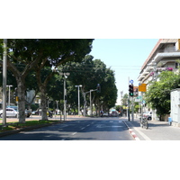 照片 以色列(Israel) 特拉维夫(Tel Aviv) 罗斯柴尔德大道(Rothschild Street) 2007-06 27