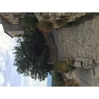 照片 法国(France) 戈尔德(Gordes) 2017-08 25