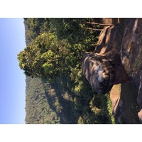 照片 泰国(Thailand) 普欣隆卡国家公园(Phu Hin Rong Kla National Park) 2014-12 139