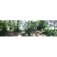 照片 哥斯达黎加(Costa Rica) 乌维塔(Uvita) 2015-03 97