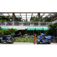 照片 以色列(Israel) 特拉维夫(Tel Aviv) 塔尔萨特街(Tarsat Street) 2007-06 8