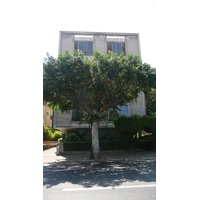 照片 以色列(Israel) 特拉维夫(Tel Aviv) 塔尔萨特街(Tarsat Street) 2007-06 10