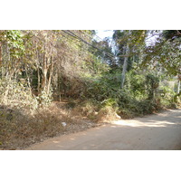 照片 泰国(Thailand) 沙美岛(Ko Samet) 派湾(Ao Phai) 2009-01 34