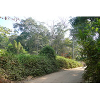 照片 泰国(Thailand) 沙美岛(Ko Samet) 派湾(Ao Phai) 2009-01 39