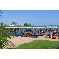 照片 埃及(Egypt) 沙姆沙伊赫(Sharm el Sheikh) 2008-06 40