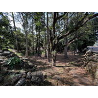 照片 柬埔寨(Cambodia) 暹粒(Siem Reap) 吴哥通王城(Angkor Thom) 2023-01 37