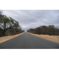 照片 南非(South Africa) 克鲁格国家公园(Kruger National Park) 萨布尔河(Sable River) 2008-09 82