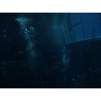 照片 阿联酋(United Arab Emirates) 迪拜(Dubai) 迪拜购物中心(The Dubai Mall) 2011-12 87