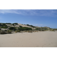 照片 南非(South Africa) 赫曼努斯至克尼斯纳公路(Harmanus to Knysna road) 2008-09 109