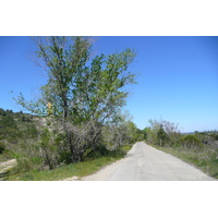 照片 法国(France) 普罗旺斯(Provence) 博凯尔至加尔桥公路(Beaucaire to pont du gard road) 2008-04 29