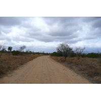 照片 南非(South Africa) 克鲁格国家公园(Kruger National Park) 鳄鱼河公路(Crocodile River road) 2008-09 46