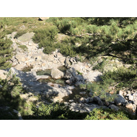 照片 法国(France) 科西嘉岛(Corsica) 雷斯托尼卡山谷(La Restonica) 2020-07 59