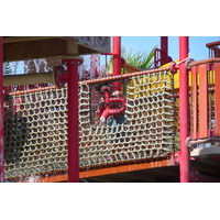 照片 阿联酋(United Arab Emirates) 迪拜(Dubai) 迪拜水世界(Dubai Aquaventure) 2009-01 150