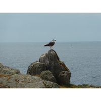 照片 法国(France) 伊厄岛(Ile d'yeu) 2009-07 89