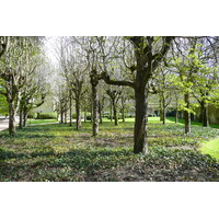照片 法国(France) 舍农索城堡(Chenonceau Castle) 舍农索城堡花园(Gardens of Chenonceau) 2008-04 29