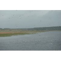 照片 英国(United Kingdom) 苏格兰(Scotland) 洛西茅斯(Lossiemouth) 2011-07 12