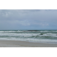照片 南非(South Africa) 好望角(Cape of Good Hope) 2008-09 107