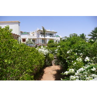 照片 埃及(Egypt) 沙姆沙伊赫(Sharm el Sheikh) 凯悦酒店(Hyatt Hotel) 2008-06 179