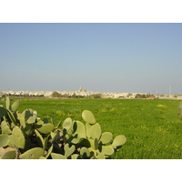照片 马耳他(Malta) 姆迪纳周边(Around Mdina) 2003-03 8