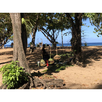 照片 瓜德罗普(Guadeloupe) 大湾海滩(Grande Hanse Beach) 2021-02 15