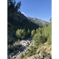 照片 法国(France) 科西嘉岛(Corsica) 雷斯托尼卡山谷(La Restonica) 2020-07 122