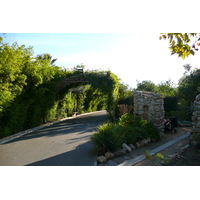 照片 法国(France) 尼斯(Nice) 凤凰公园(Phoenix Parc) 2007-10 107