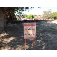 照片 泰国(Thailand) 大城(Ayutthaya) 2011-12 105