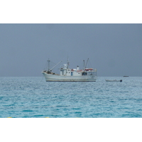 照片 塞舌尔(Seychelles) 2011-10 183
