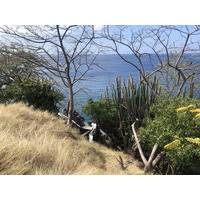照片 瓜德罗普(Guadeloupe) 黑角(Black Point) 2021-02 2