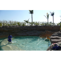 照片 阿联酋(United Arab Emirates) 迪拜(Dubai) 迪拜水世界(Dubai Aquaventure) 2009-01 46