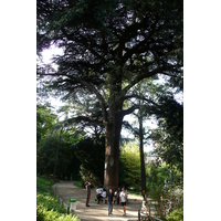 照片 法国(France) 巴黎(Paris) 巴黎植物园(Jardin des Plantes) 2007-08 11
