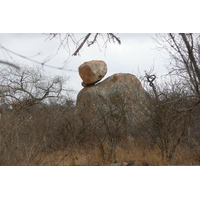 照片 南非(South Africa) 克鲁格国家公园(Kruger National Park) 鳄鱼河公路(Crocodile River road) 2008-09 66