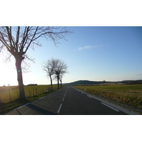 照片 法国(France) 塞文山脉(Cevennes Mountains) 2008-04 107