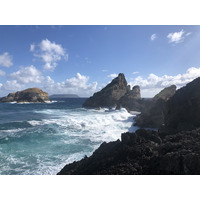 照片 瓜德罗普(Guadeloupe) 城堡角(Castle Point) 2021-02 269