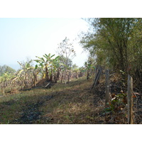 照片 泰国(Thailand) 邦玛帕(Pang Mapha) 2007-02 123