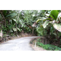 照片 塞舌尔(Seychelles) 普拉兰岛(Praslin) 2011-10 35